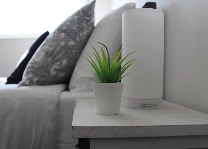 Beloved * Πόρτο